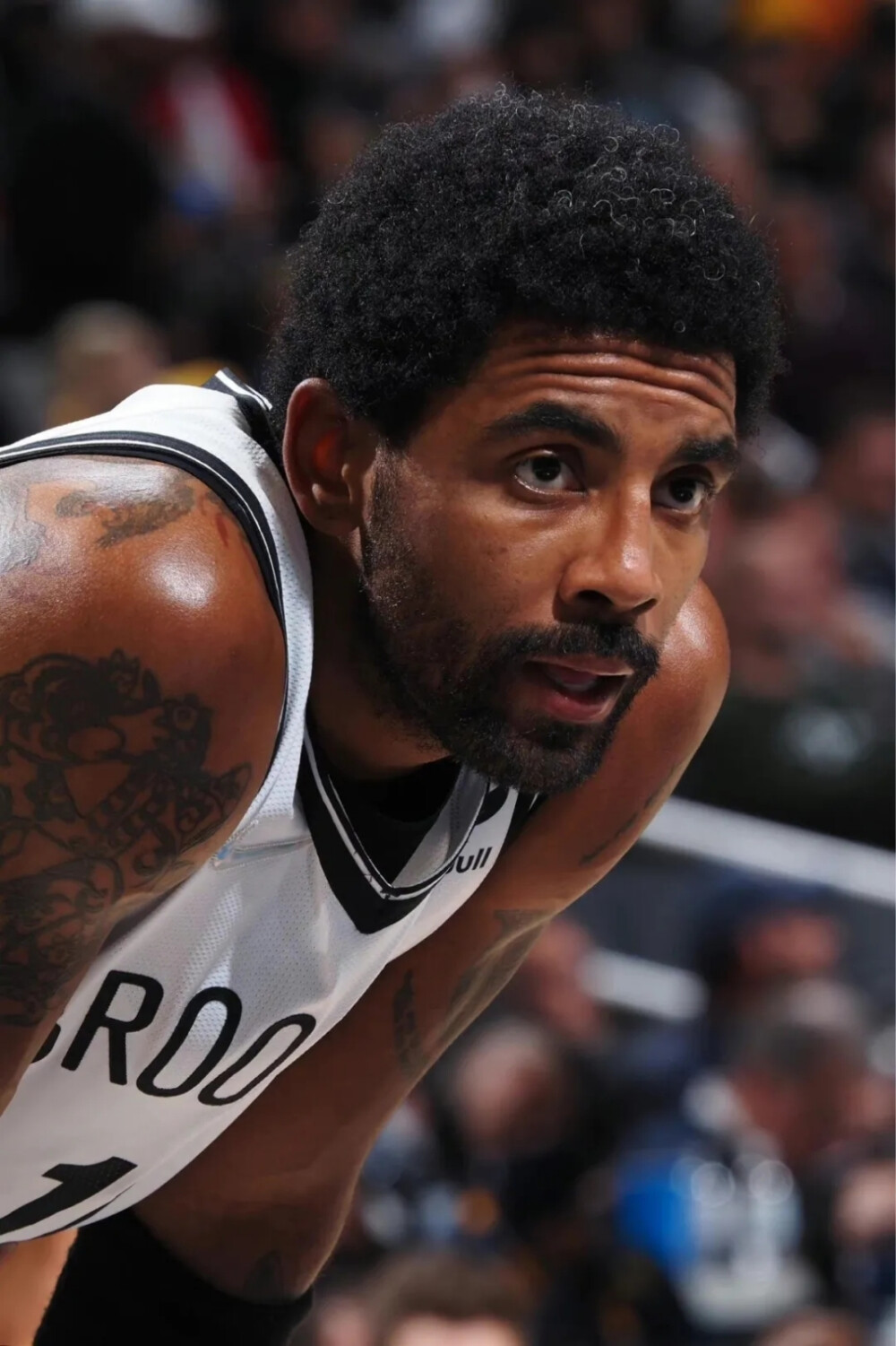 将获得更强 将获得更强